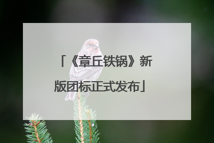 《章丘铁锅》新版团标正式发布