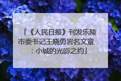《人民日报》刊发乐陵市委书记王晓勇署名文章：小城的光影之约