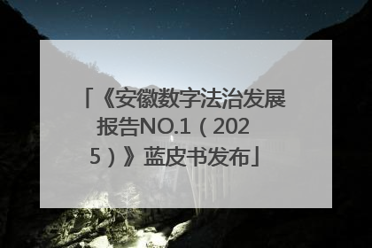 《安徽数字法治发展报告NO.1（2025）》蓝皮书发布