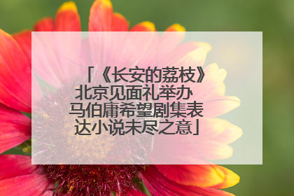 《长安的荔枝》北京见面礼举办 马伯庸希望剧集表达小说未尽之意