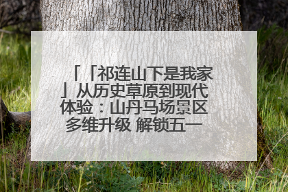 「祁连山下是我家」从历史草原到现代体验：山丹马场景区多维升级 解锁五一文旅新玩法