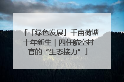 「绿色发展」千亩荷塘 十年新生｜四任航空村官的“生态接力”