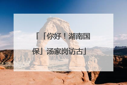 「你好！湖南国保」汤家岗访古