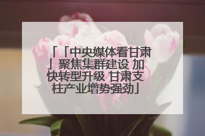 「中央媒体看甘肃」聚焦集群建设 加快转型升级 甘肃支柱产业增势强劲