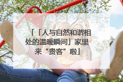 「人与自然和谐相处的温暖瞬间」家里来“贵客”啦
