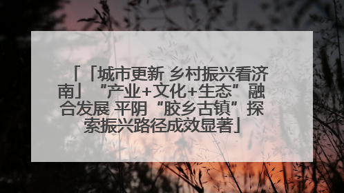 「城市更新 乡村振兴看济南」“产业+文化+生态”融合发展 平阴“胶乡古镇”探索振兴路径成效显著