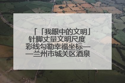 「我眼中的文明」针脚丈量文明尺度 彩线勾勒幸福坐标——兰州市城关区酒泉路街道办事处