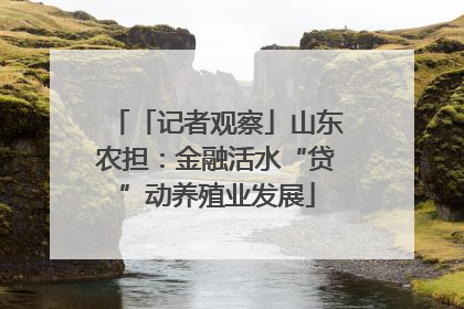「记者观察」山东农担：金融活水“贷”动养殖业发展