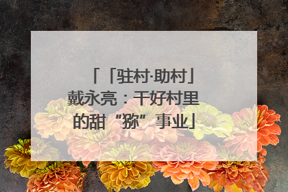 「驻村·助村」戴永亮：干好村里的甜“猕”事业