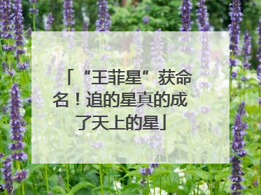 “王菲星”获命名！追的星真的成了天上的星