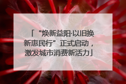 “焕新益阳·以旧换新惠民行”正式启动，激发城市消费新活力
