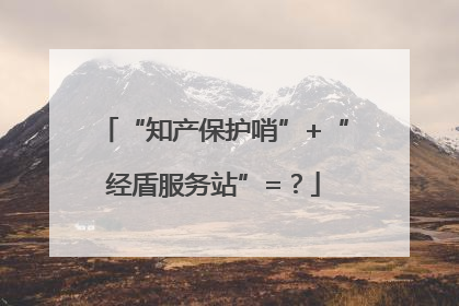 “知产保护哨”+“经盾服务站”=？