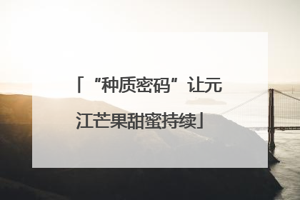 “种质密码”让元江芒果甜蜜持续