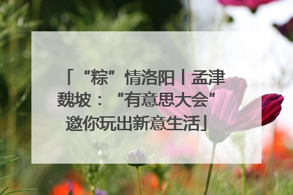 “粽”情洛阳丨孟津魏坡：“有意思大会”邀你玩出新意生活