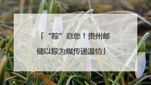 “粽”意您！贵州邮储以粽为媒传递温情