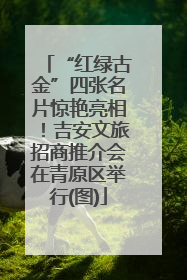 “红绿古金”四张名片惊艳亮相！吉安文旅招商推介会在青原区举行(图)