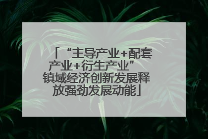 “主导产业+配套产业+衍生产业” 镇域经济创新发展释放强劲发展动能