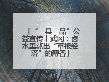 “一县一品”公益宣传丨武冈：卤水里熬出“草根经济”的醇香