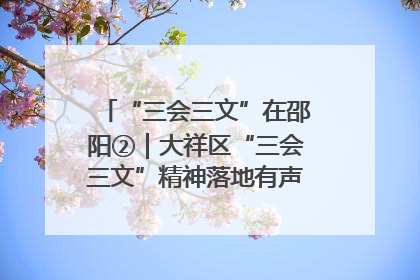 “三会三文”在邵阳②｜大祥区“三会三文”精神落地有声 以实干实绩助力区域高质量发展