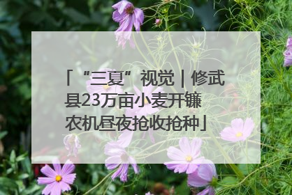 “三夏”视觉｜修武县23万亩小麦开镰 农机昼夜抢收抢种