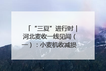 “三夏”进行时｜河北麦收一线见闻（一）：小麦机收减损“竞技” 农机高手麦田“过招”