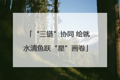 “三链”协同 绘就水清鱼跃“星”画卷