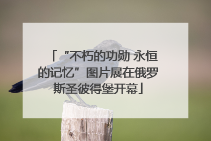 “不朽的功勋 永恒的记忆”图片展在俄罗斯圣彼得堡开幕