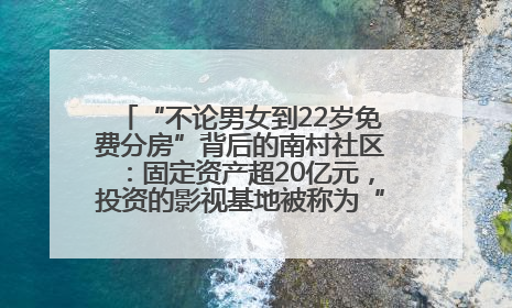 “不论男女到22岁免费分房”背后的南村社区：固定资产超20亿元，投资的影视基地被称为“山村好莱坞”