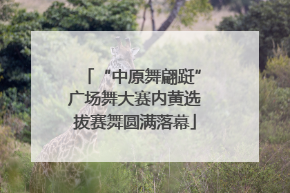 “中原舞翩跹”广场舞大赛内黄选拔赛舞圆满落幕