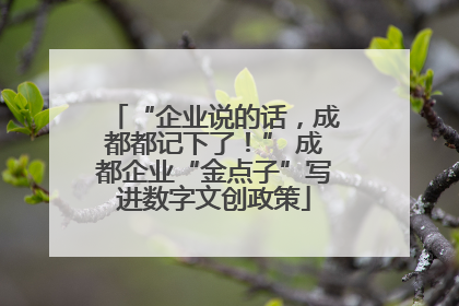 “企业说的话，成都都记下了！” 成都企业“金点子”写进数字文创政策