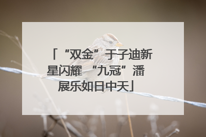 “双金”于子迪新星闪耀 “九冠”潘展乐如日中天