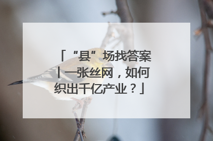 “县”场找答案丨一张丝网，如何织出千亿产业？