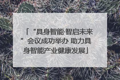 “具身智能·智启未来”会议成功举办 助力具身智能产业健康发展