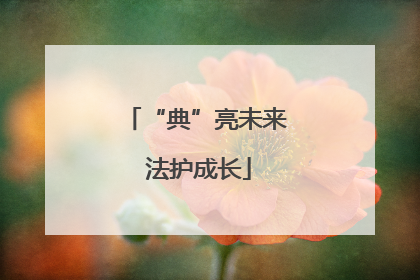 “典”亮未来 法护成长