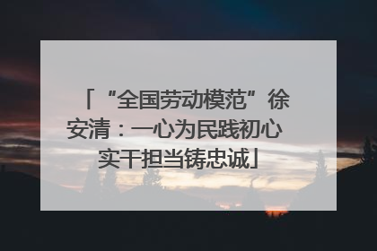“全国劳动模范”徐安清：一心为民践初心 实干担当铸忠诚