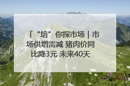 “培”你探市场｜市场供增需减 猪肉价同比降3元 未来40天便宜猪肉敞开吃