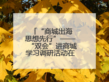 “商城出海 思想先行”——“双会”进商城学习调研活动在临沂顺利开展