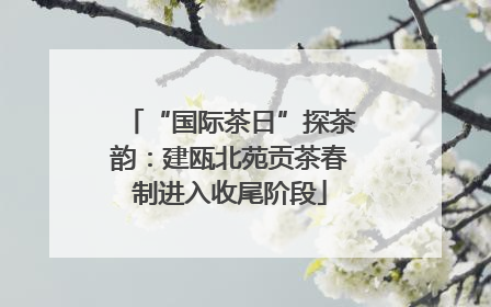“国际茶日”探茶韵：建瓯北苑贡茶春制进入收尾阶段