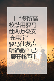“多所高校禁用罗马仕两万毫安充电宝”，罗马仕发声明道歉：已展开核查