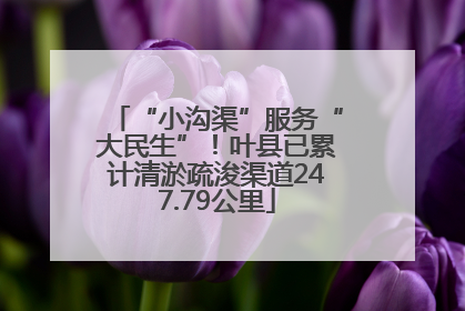 “小沟渠”服务“大民生”！叶县已累计清淤疏浚渠道247.79公里