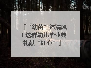 “幼苗”沐清风！这群幼儿毕业典礼献“红心”