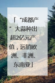 “成都产”大蒜种出超2亿元产值，远销欧洲、非洲、东南亚