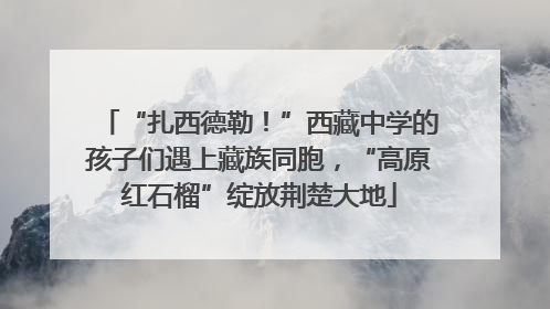 “扎西德勒！”西藏中学的孩子们遇上藏族同胞，“高原红石榴”绽放荆楚大地