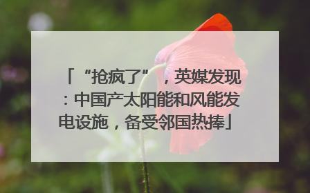 “抢疯了”，英媒发现：中国产太阳能和风能发电设施，备受邻国热捧