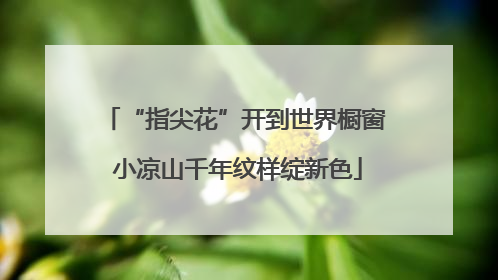 “指尖花”开到世界橱窗 小凉山千年纹样绽新色