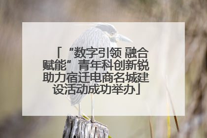 “数字引领 融合赋能”青年科创新锐助力宿迁电商名城建设活动成功举办