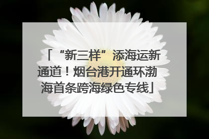 “新三样”添海运新通道！烟台港开通环渤海首条跨海绿色专线