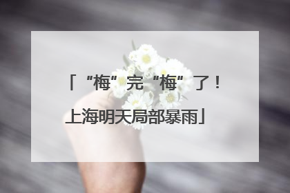 “梅”完“梅”了！上海明天局部暴雨