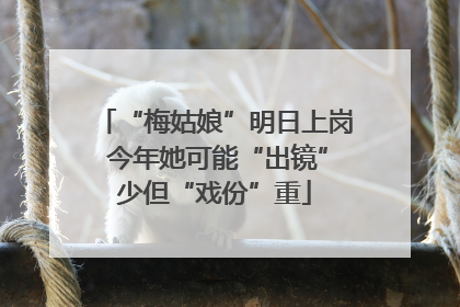 “梅姑娘”明日上岗 今年她可能“出镜”少但“戏份”重