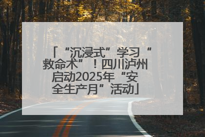 “沉浸式”学习“救命术”！四川泸州启动2025年“安全生产月”活动